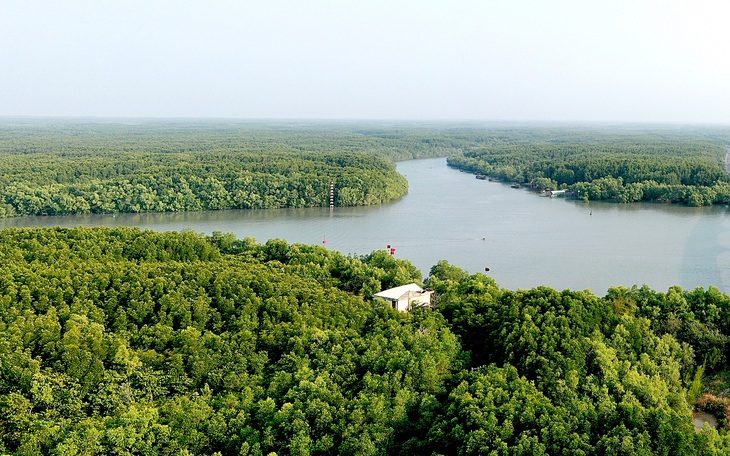 Hàng chục ngàn héc ta rừng đước đã mọc lên từ vùng đất hoang hóa, những căn nhà của người giữ rừng được rừng xanh bao bọc Hàng chục ngàn héc ta rừng đước đã mọc lên từ vùng đất hoang hóa, những căn nhà của người giữ rừng được rừng xanh bao bọc